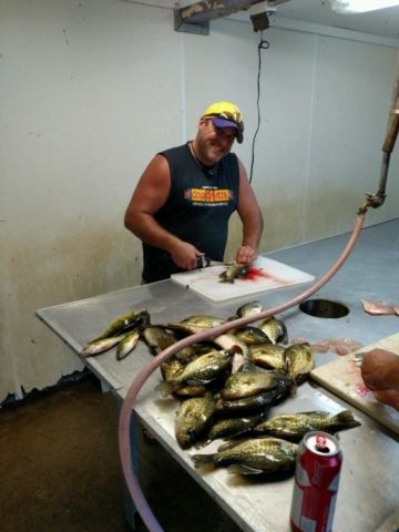 Man Cleaning Caught Fish